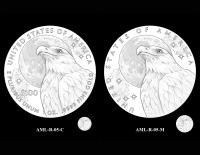 AML Reverses 05 -- 2027 American Liberty Coin and Medal