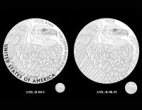 AML Reverses 08 -- 2027 American Liberty Coin and Medal